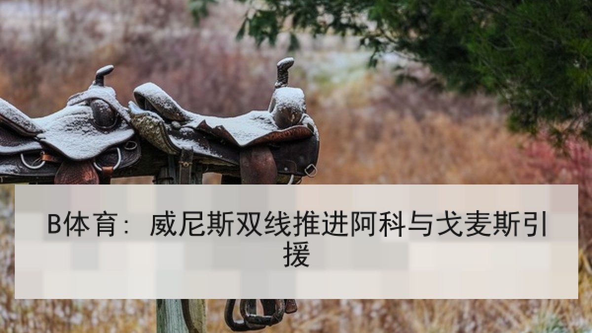 B体育: 威尼斯双线推进阿科与戈麦斯引援 B体育: 威尼斯双线推进阿科与戈麦斯引援