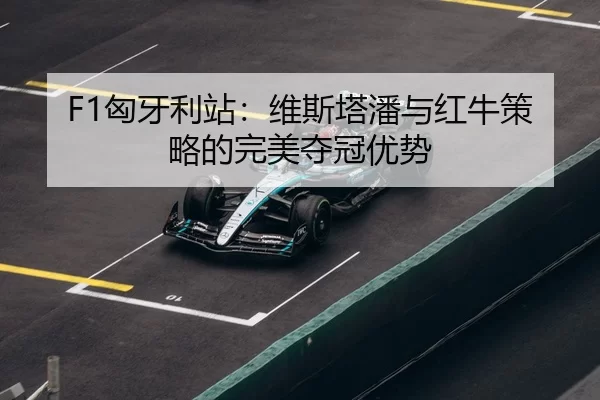 xiong-ya-li-zhan-wei-si-ta-pan-yu-hong-niu-ce-lve-de-wan-mei-duo-guan-you-shi-3-868.jpg