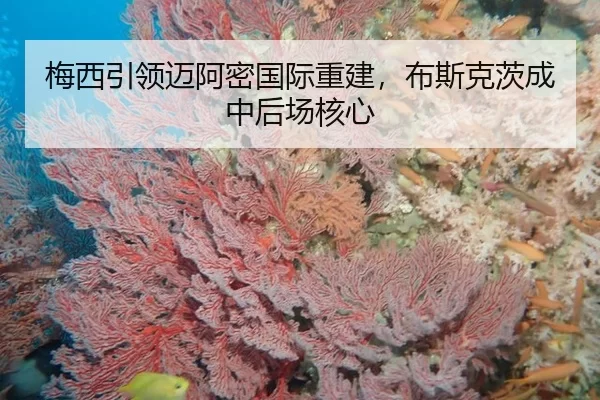 梅西引领迈阿密国际重建，布斯克茨成中后场核心