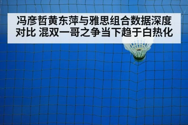 badminton net play