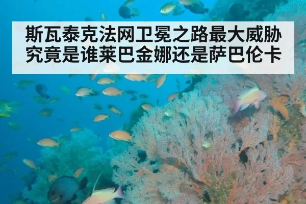 斯瓦泰克法网卫冕之路最大威胁究竟是谁莱巴金娜还是萨巴伦卡